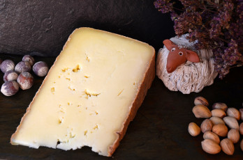 Картинка ossau-iraty еда сырные+изделия сыр
