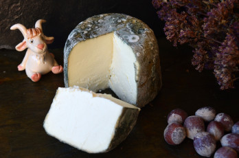 Картинка r& 237 o+vero+de+moho+azul еда сырные+изделия сыр