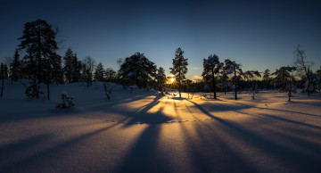 Картинка природа зима поле сумерки деревья снег