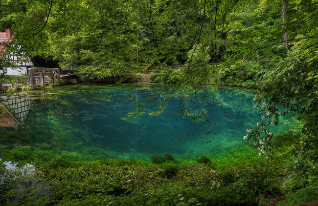 Обои картинки фото природа, реки, озера, лес, река