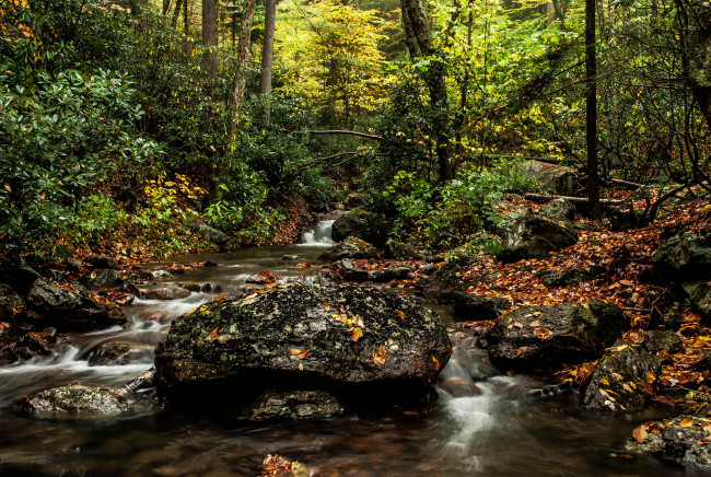 Обои картинки фото природа, реки, озера, камни, осень, река, лес