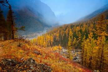 Картинка горный+алтай природа горы речка горный алтай осень деревья