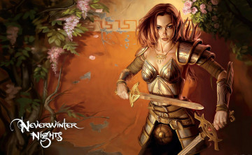 Картинка видео+игры neverwinter+nights девушка броня мечи стена цветы