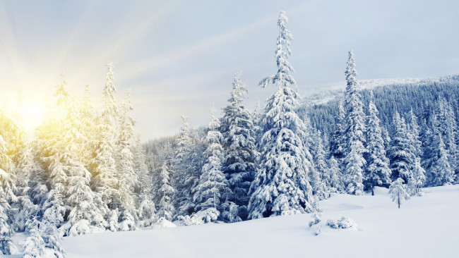 Обои картинки фото природа, лес, горы, снег