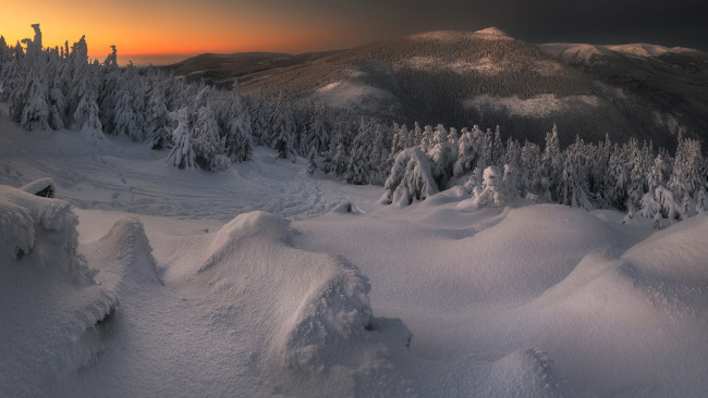 Обои картинки фото karkonosze national park, poland, природа, зима, karkonosze, national, park