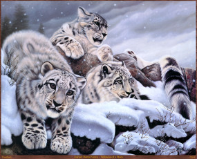 Картинка daniel renn pierce softness of stare рисованные арт снег зима снежный барс ирбис