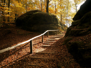 Картинка природа парк лестница