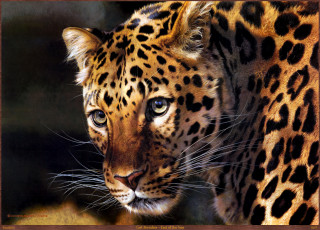 Картинка carl brenders east of the sun рисованные арт хищник леопард