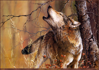Картинка christoper walden in tune with nature рисованные дерево волк b арт