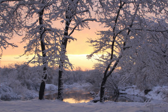 Картинка природа зима закат снег деревья