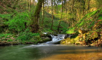 Картинка природа реки озера лес