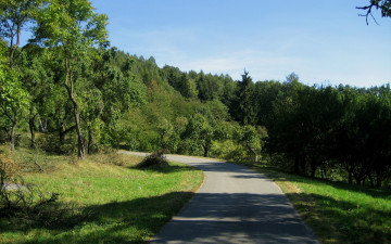 Картинка природа дороги дорога деревья кусты