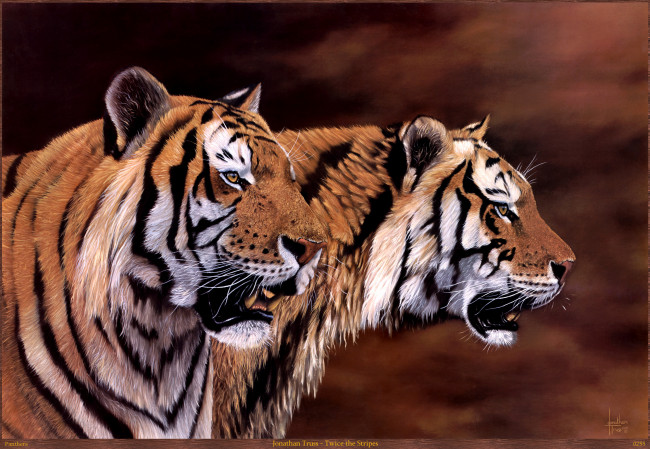 Обои картинки фото jonathan, truss, twice, the, stripes, рисованные, арт, тигры
