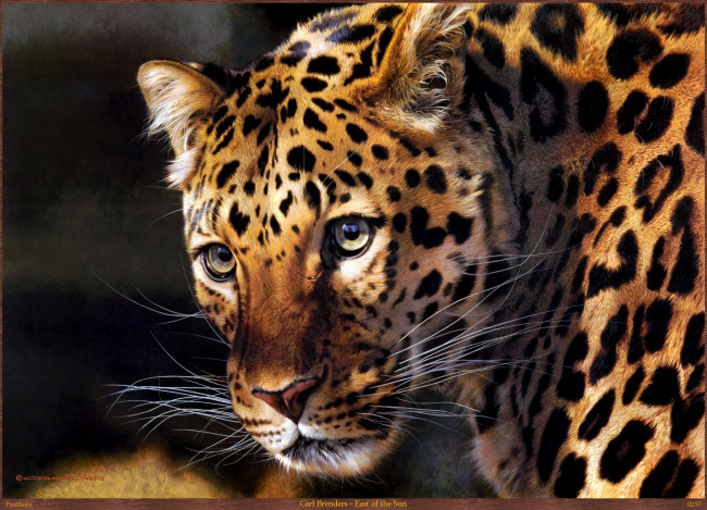 Обои картинки фото carl, brenders, east, of, the, sun, рисованные, арт, хищник, леопард