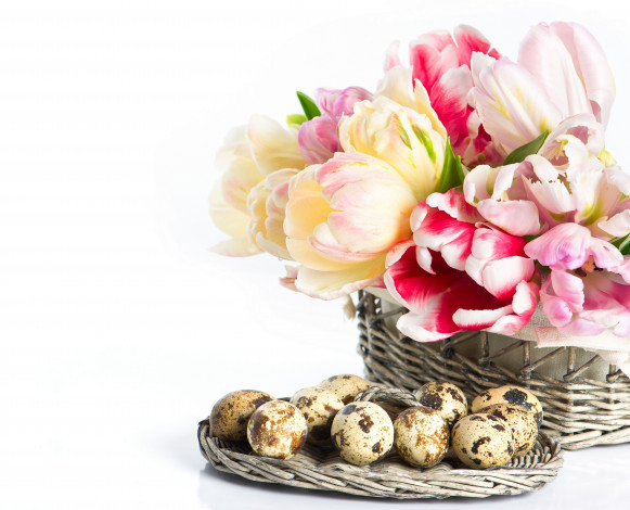 Обои картинки фото цветы, тюльпаны, перепелиные, яйца, корзинка