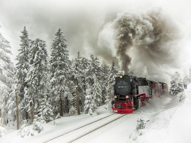 Обои картинки фото техника, паровозы, деревья, поезд, снег, ели, рельсы, дым, состав, зима