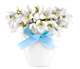 Картинка цветы подснежники +белоцветник flowers spring white snowdrops букет delicate