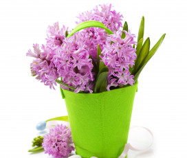 Картинка цветы гиацинты фиолетовые ваза сумочка фон