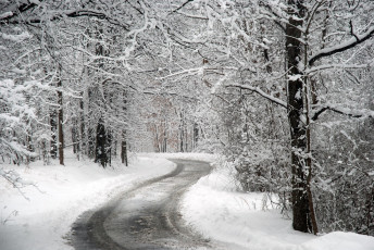 Картинка природа зима грязь слякоть дорога деревья снег