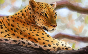 Картинка рисованные животные +ягуары +леопарды лежа хищник леопард