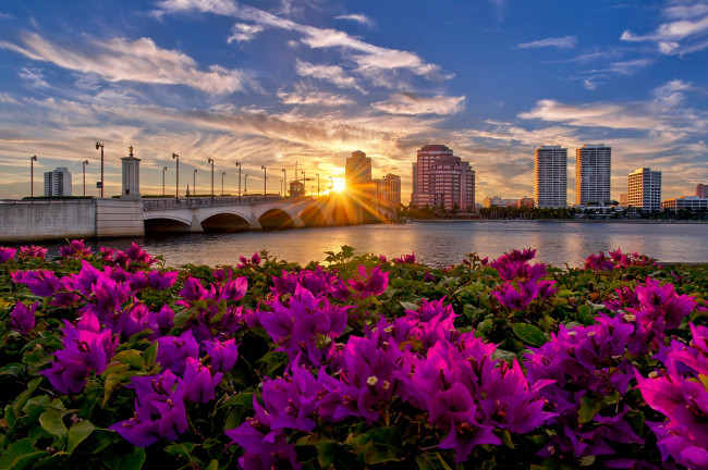 Обои картинки фото palm beach,  florida, города, - пейзажи, здания, мост, река, цветы, солнце