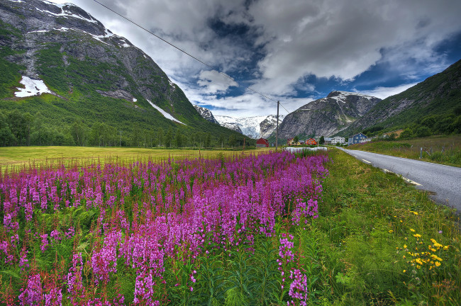 Обои картинки фото природа, луга, горы, поле, шоссе, трава, цветы, облака