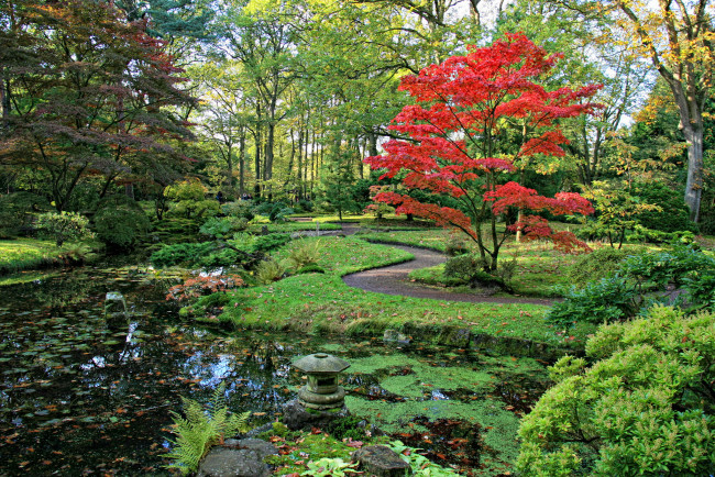 Обои картинки фото нидерланды   гаага, природа, парк, кусты, деревья, цветы, пруд, гаага, нидерланды