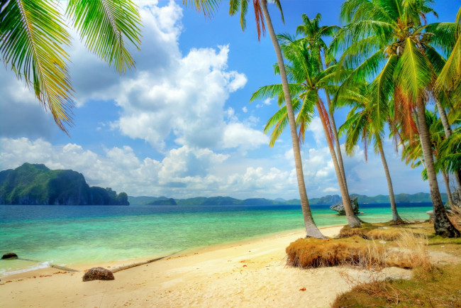 Обои картинки фото природа, тропики, vacation, берег, остров, океан, солнце, море, песок, sand, summer, palm, ocean, emerald, blue, sea, coast, beach, пляж, paradise, tropical