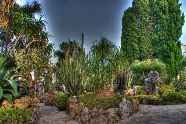 Обои картинки фото fontvieille monaco экзотический сад, природа, парк, пальмы, сад, экзотический, monaco, fontvieille