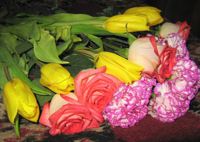 Обои картинки фото цветы, разные вместе, тюльпаны, гвоздики, розы