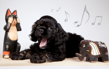 Картинка животные собаки слоник фигурки щенок кокер-спаниель зевает ноты