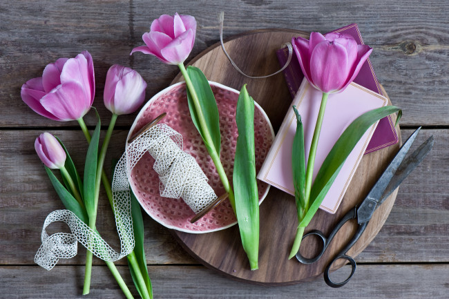 Обои картинки фото цветы, тюльпаны, лента, ножницы, розовые