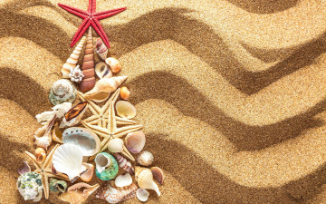 Картинка разное ракушки +кораллы +декоративные+и+spa-камни песок tree christmas beach seashells sand новый год елка украшения