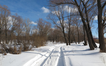 Картинка природа дороги снег деревья