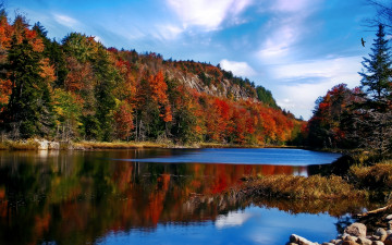 Картинка природа реки озера отражение вода лес пейзаж горы озеро
