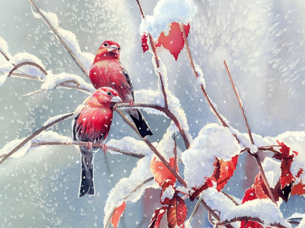 Обои картинки фото рисованное, животные,  птицы, ветки, снег, зима, листья, птицы