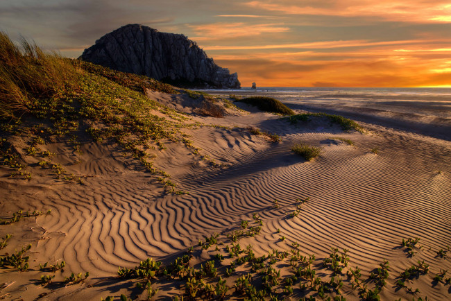 Обои картинки фото природа, побережье, дюны