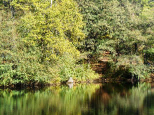 Картинка природа реки озера лес водоем