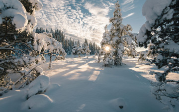 Картинка природа зима деревья тени ели норвегия солнце небо облака лучи пейзаж снег
