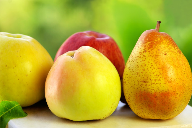Обои картинки фото Яблоки и груша, еда, Яблоки, груша, плоды, фрукты