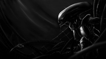 Картинка фэнтези чужой+ alien фон девушка существо