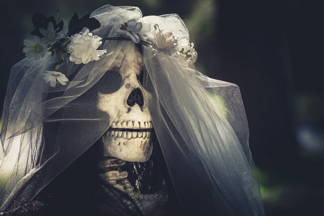 Обои картинки фото разное, кости,  рентген, невеста