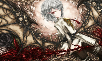Картинка аниме touhou взгляд часы розы шипы
