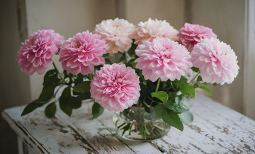 Картинка цветы георгины розовые букет