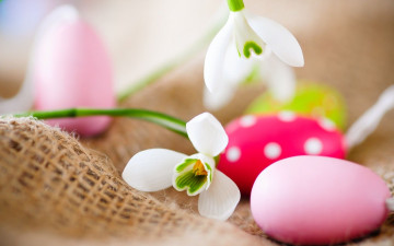 Картинка праздничные пасха цветы крашенки пасхальные яйца подснежники