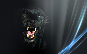 Картинка животные пантеры оскал пантера морда обои леопард