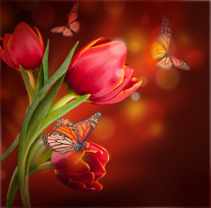 Картинка разное компьютерный+дизайн бабочки тюльпаны