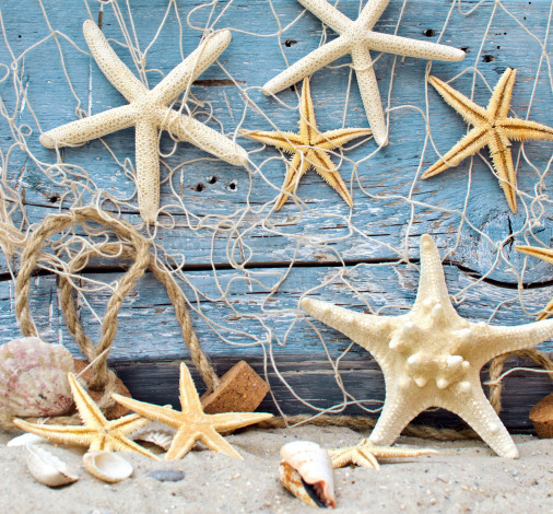 Обои картинки фото разное, ракушки,  кораллы,  декоративные и spa-камни, морские, звезды, песок