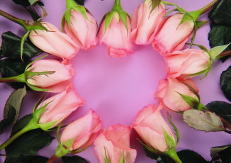 Картинка цветы розы розовые сердечко
