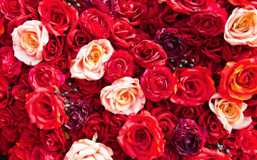 Картинка разное ремесла +поделки +рукоделие roses розы flowers красные цветы